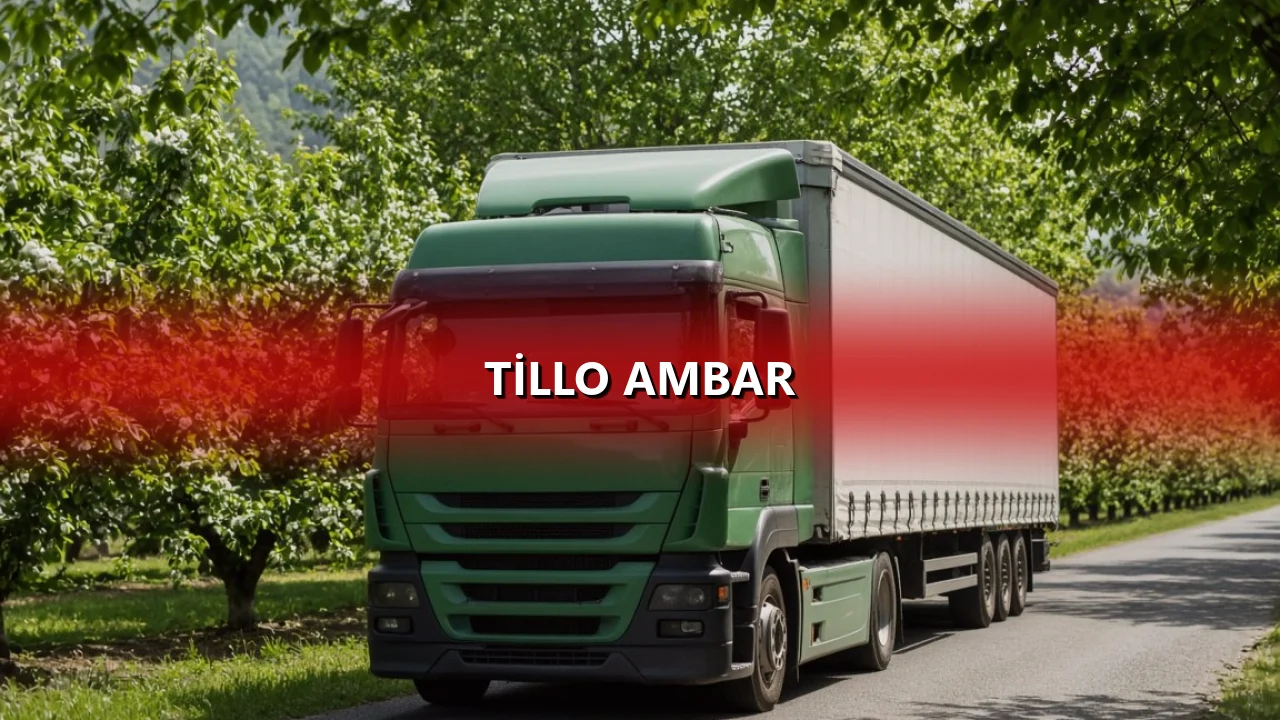 Tillo Ambar