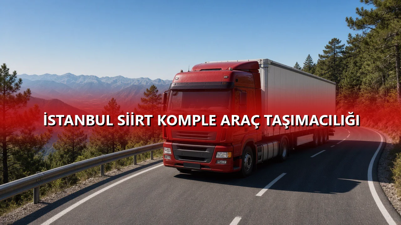 İstanbul Siirt Komple Araç Taşımacılığı